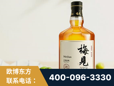 绥芬河-梅见青梅酒